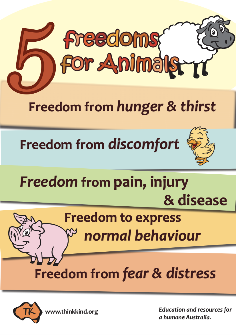 Five Freedoms for Animals Classroom Poster